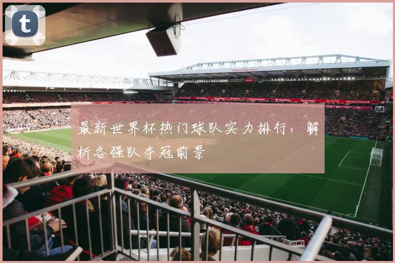 最新世界杯热门球队实力排行，解析各强队夺冠前景
