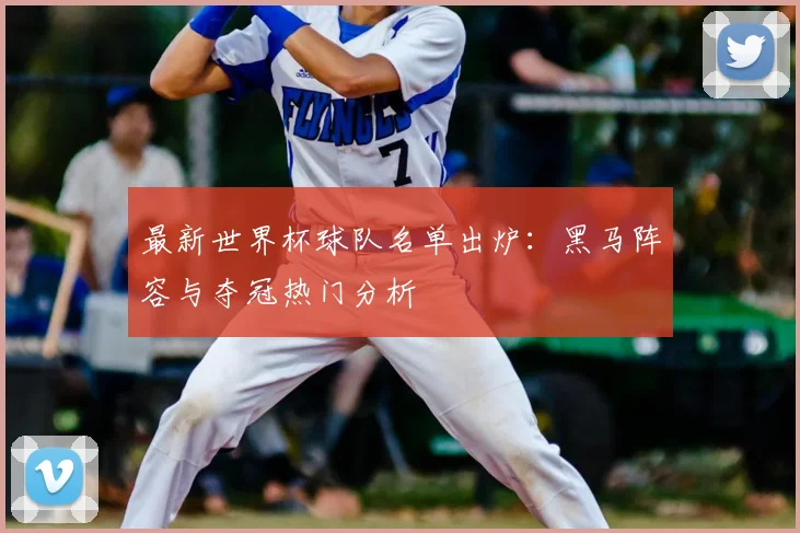 最新世界杯球队名单出炉：黑马阵容与夺冠热门分析