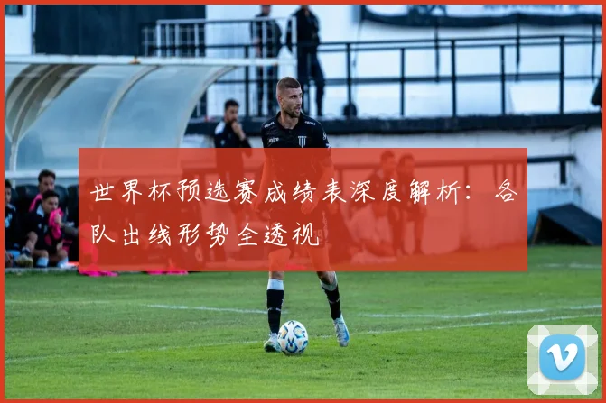 世界杯预选赛成绩表深度解析：各队出线形势全透视
