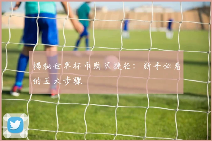 揭秘世界杯币购买捷径：新手必看的五大步骤