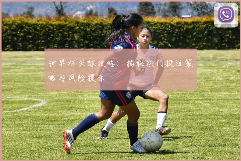 世界杯买球攻略:揭秘热门投注策略与风险提示